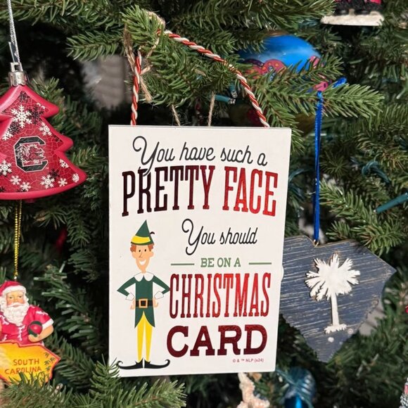 NEW SEALED Elf (DVD 2003) Deleted Scenes Will Ferrell Christmas Classic Special - Picture 4 of 6